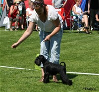 "Tassa" och Anna