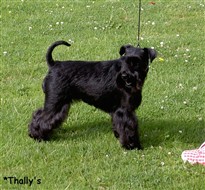 Thally's AbsoluteLove "Liza"